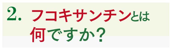 フコキサンチンとは何？